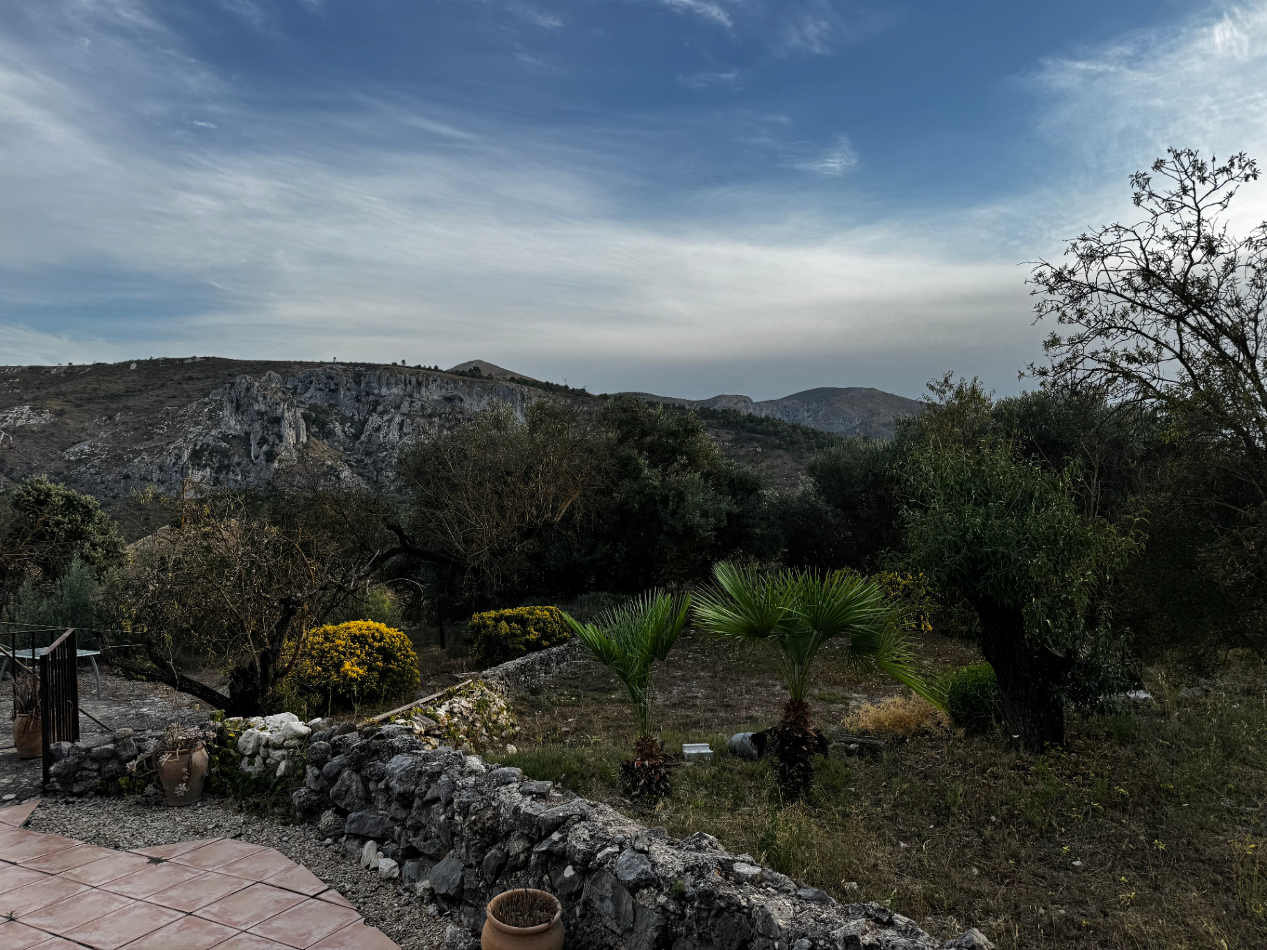 The view from the terrace across olive trees to the limestone ridge beyond